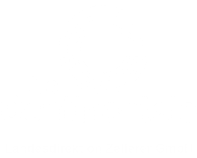 Continentale Kfz Versicherung